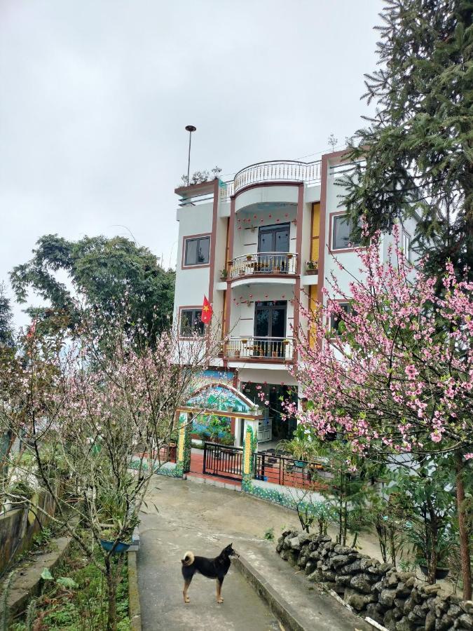 Flying Horse B & B Sapa Exterior foto